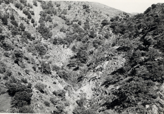 Vista de la zona